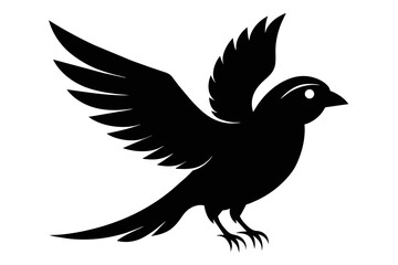 ilhouette image,mac bird,vector illustration,white background