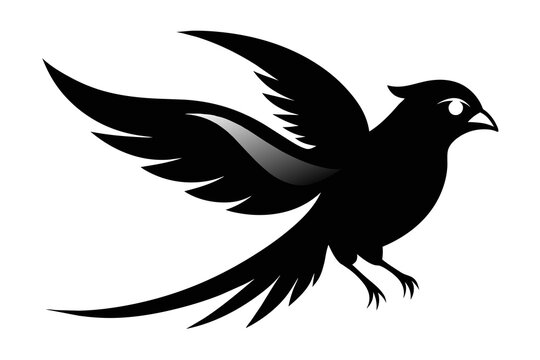 ilhouette image,mac bird,vector illustration,white background