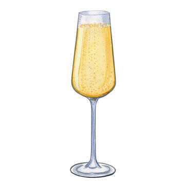 Glass of champagne watercolor illustration. Hand drawn image of a sparkling alcoholic wine drink on an isolated background. For menu and bar design.