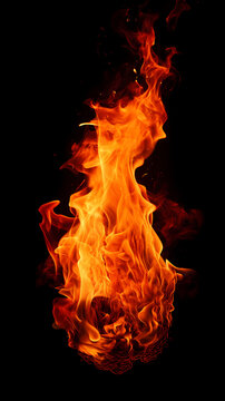 Burning flame isolated on black