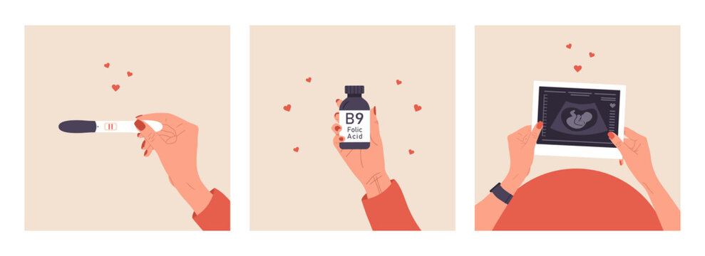 Set of happy pregnancy vector illustration. Female hands holding fetus silhouette photo, positive pregnancy test, vitamin B9. Ultrasound of baby. Belly top view. Flat cartoon style.