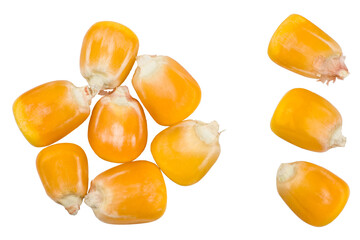 Corn  grains isolated on a white background, top view