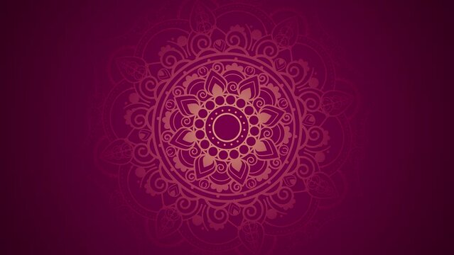 Festival greeting magenta background video design