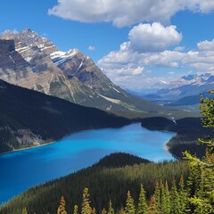 Fototapeta na wymiar lake in the mountains: Peyto Lake in Alberta, Canada