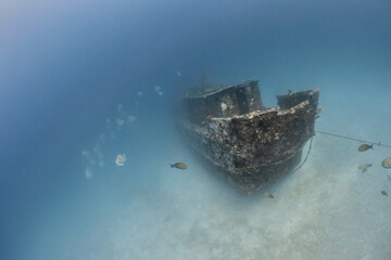 A shipwreck and platax school deep underwater on sandy floor of indian ocean