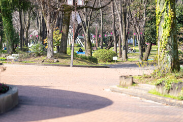 Scenery of taking a walk before the cherry blossoms bloom at the cherry blossom necklace in Inazawa City, Aichi Prefecture 愛知県名古屋市の名城公園を桜の開花前に散歩する風景
