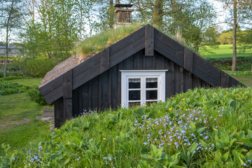 Old cottage with thatched roof and flowering  forget-me-not flowers