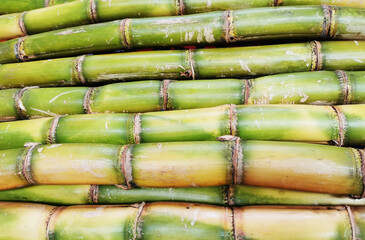 fresh sugar cane texture