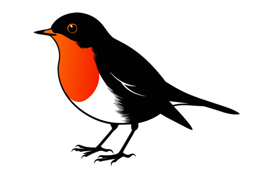 silhouette color image robin bird vector