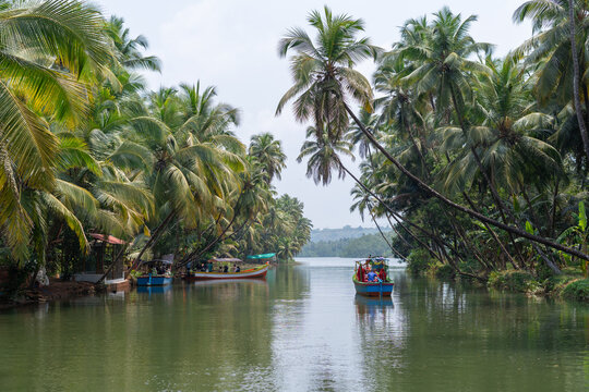 A scenic view of the Honnavar backwaters on the Sabarmati River, featuring lush green coconut palm trees lining the banks and colorful boats gliding through the calm water, creating a tranquil and pic