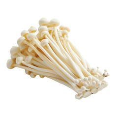 Fresh Enoki Mushrooms Isolated on Transparent Background Cutout