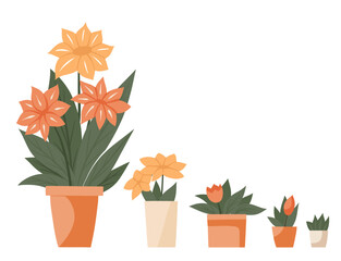 Vector set of cartoon flowers in clay pots. Collection of cliparts of flat plants in vases isolated from the background. Floral design element for stickers, cards and your creativity - 774669668