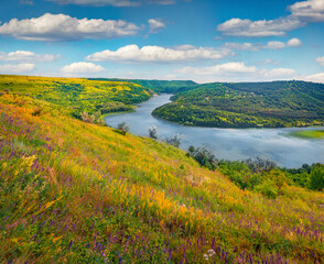 Stunning summer view of blooming hills aroud Dnister river. Colorful morning scene of lush pasture on the slopes of river canyon, Ukraine, Europe. Beauty of nature concept background.. - 774669669