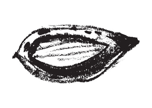 Vector hand-drawn illustration almonds. Black charcoal drawing of almond nut for marzipan paste label design or almond butter packaging. Botanical sketch for ketogenic diet banner.