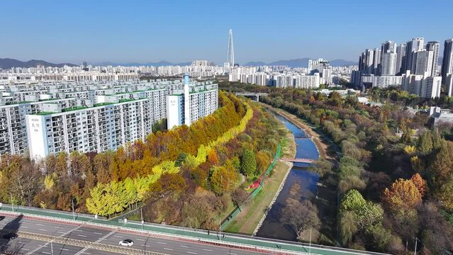 Autumn leaves at Yangjaecheon Stream, Daechi-dong, Gangnam-gu, Seoul, Asia, Republic of Korea