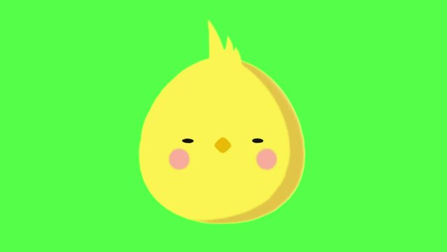 Animated chick icon. baby chicken animation. cartoon chick animation. 