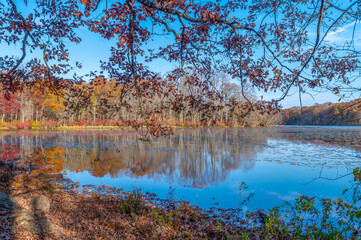 Fototapeta premium Idyllic autumn Pennsylvania lake colorful foliage blue sky landscape seen through tree branches with delicate leaves from nature trail across the water 
