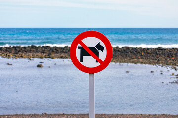 No dogs allowed sign on the beach. Prohibition sign on the beach for walking dogs