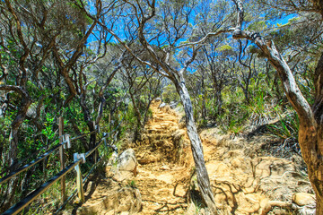 Mount Kinabalu scenery.