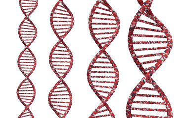 DNAの二重螺旋のイメージ