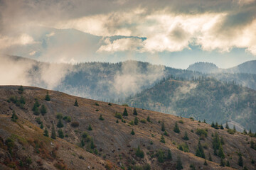 Mount St. Helens, Stratovolcano in Skamania County, Washington State