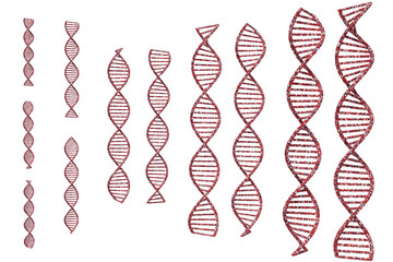 DNAの二重螺旋のイメージ - obrazy, fototapety, plakaty