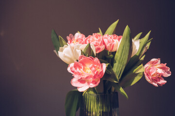 Beautiful spring bouquet of tulips in a vase on a dark background minimalism