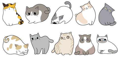 Naklejka premium cute cat illustration