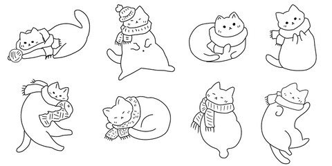 cute cat illustration