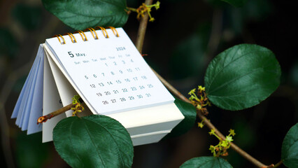 Desk calendar for May 2024 on nature background