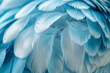 Feathered Fashion Blue Peacock Feathers in the Spotlight Generative AI