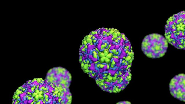 Animation showing rhinoviruses, the viruses that cause rhinitis and common cold