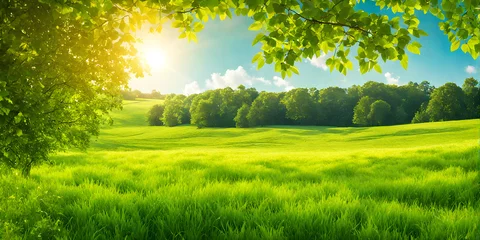 Foto auf Glas Minimalist photography capturing a sunny summer landscape with lush green vegetation © karandaev