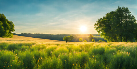 Minimalist photography capturing a sunny summer landscape with lush green vegetation