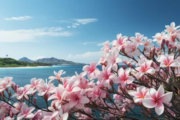 Zelfklevend Fotobehang stylist and royal Panorama of plumeria flowers fresh for banner or cards background © sisir