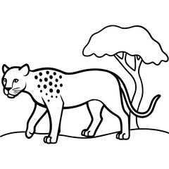 illustration of a leopard 