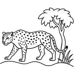 illustration of a leopard 