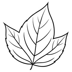 black and white green leaf
