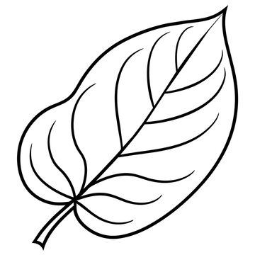 black and white green leaf
