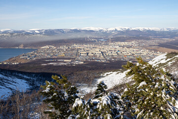 View from the mountain to the city of Magadan. In the foreground are branches of dwarf cedar. In the distance is a large northern city and snow-capped mountains. Magadan, Magadan region, Russia.