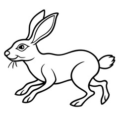 Fototapeta na wymiar rabbit and carrot
