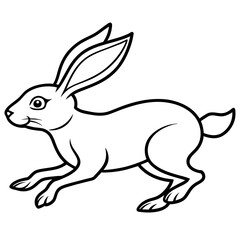 rabbit and carrot