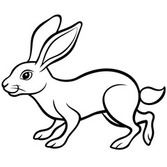 rabbit and carrot