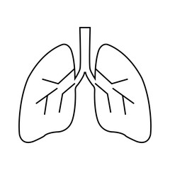 Vector icon of lungs on a white background. A simple drawing of lungs on a white background. Vector illustration eps 10