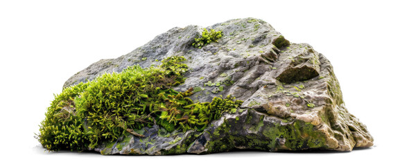 Moss-Covered Rock Stone Isolated Object, png file