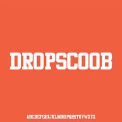 modern and elegant alphabet font vector