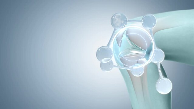 Treat bones and joints and bones Increase collagen in knee joints 3d Rendering_ EP2