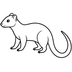 illustration of a mongoose eith vecor art