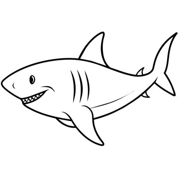 shark illustration with vector art