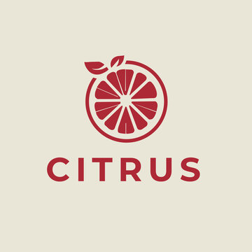 Citrus, logo design, minimalist logo, unique logo, logo maker, creative logo, brand identity